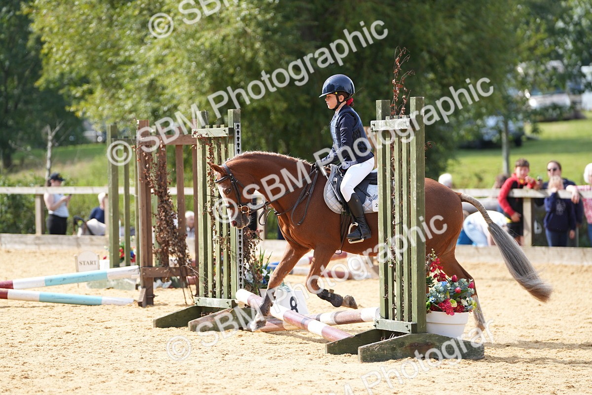 SBM_65800 - J2 - Mini Tour Junior Pony 30cm Championship