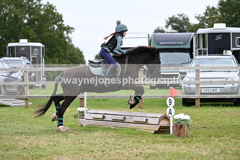 WJ7_7688 - 40cm Time 10:49 to 11:18