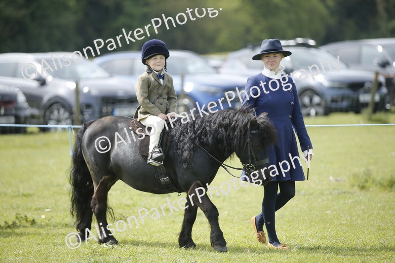 20260426-1877 - Class 7 - Pony Judge Would Most Like To Take Home