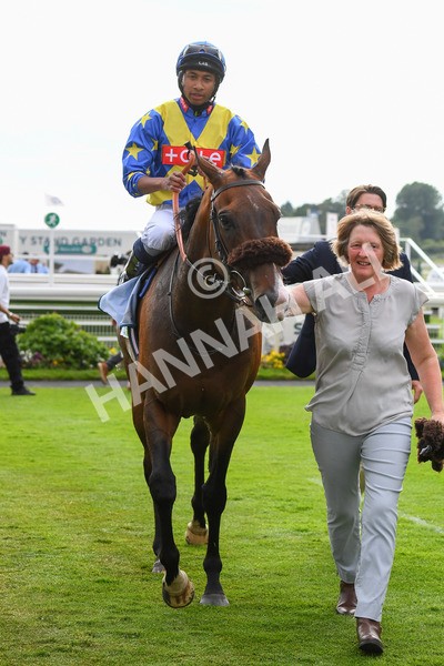 170623-Race 7-The Green Man-1062 - Race 7 5.25pm Clean Up With PPS Handicap
