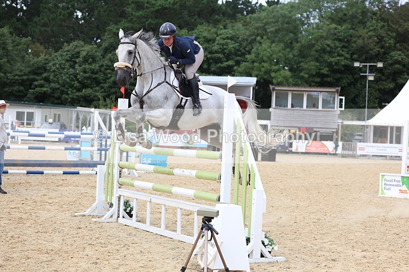 3E7A6442 - Class 9: Senior Foxhunter/1.20 open