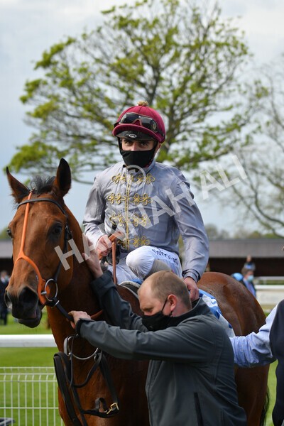 yr13052021r6-49 - Race 6 4.15pm Constant Security EBFstallions.com Maiden Stakes