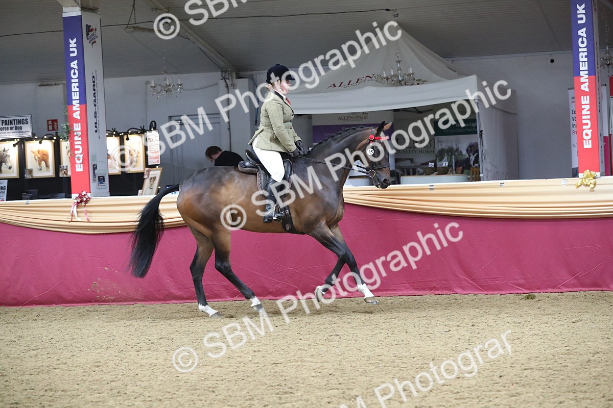 SBM_12333 - Class 108 Ridden Retired Racehorse- Pre Judging