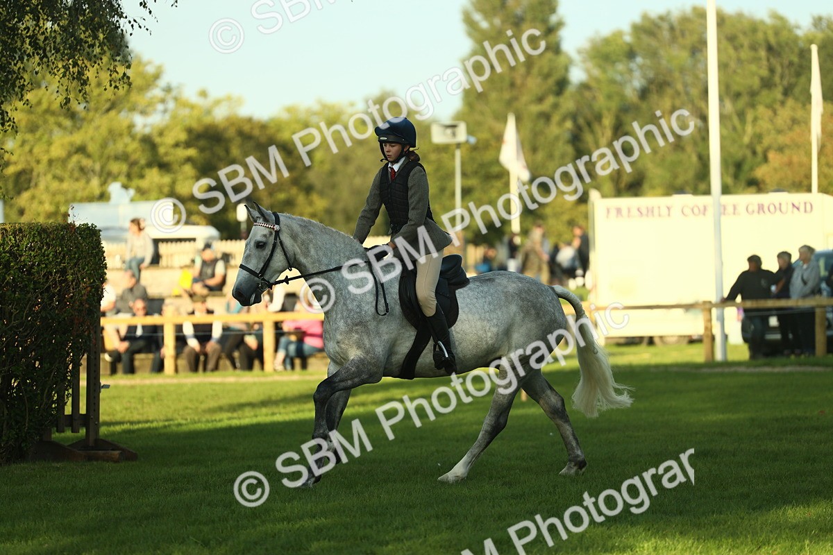 SBM_55542 - S14 - Riding Club Horse