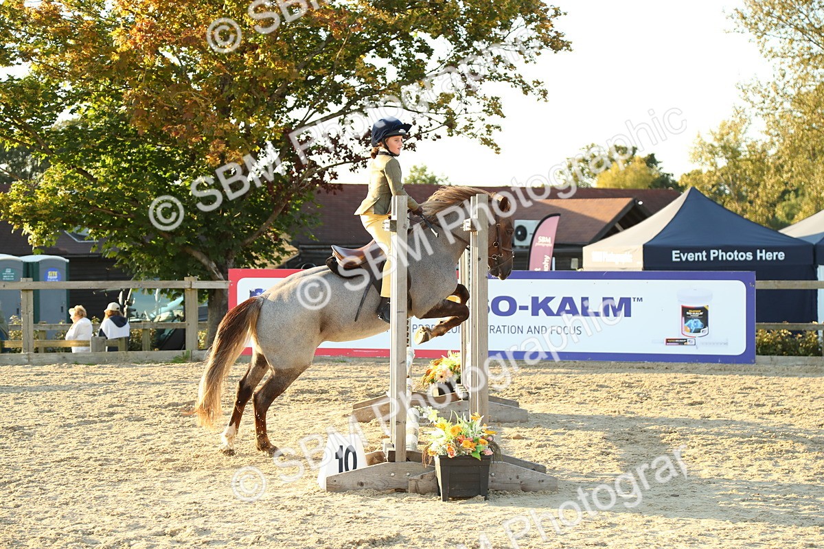 SBM_53919 - J8 - Junior Pony 65cm Championship