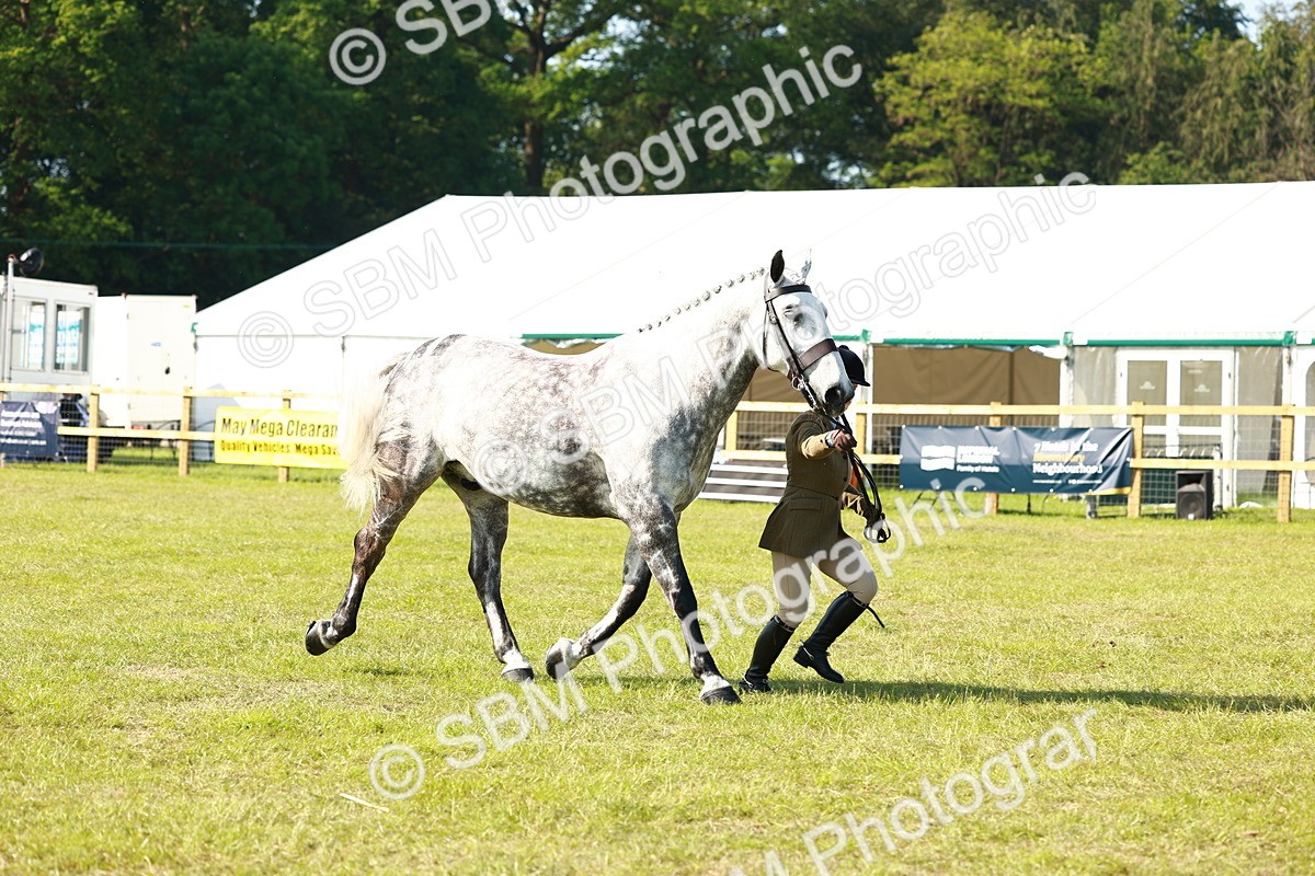 SBM_11815 - Class 66-69 - RIHS Ridden Hunters Inc Small Hunter