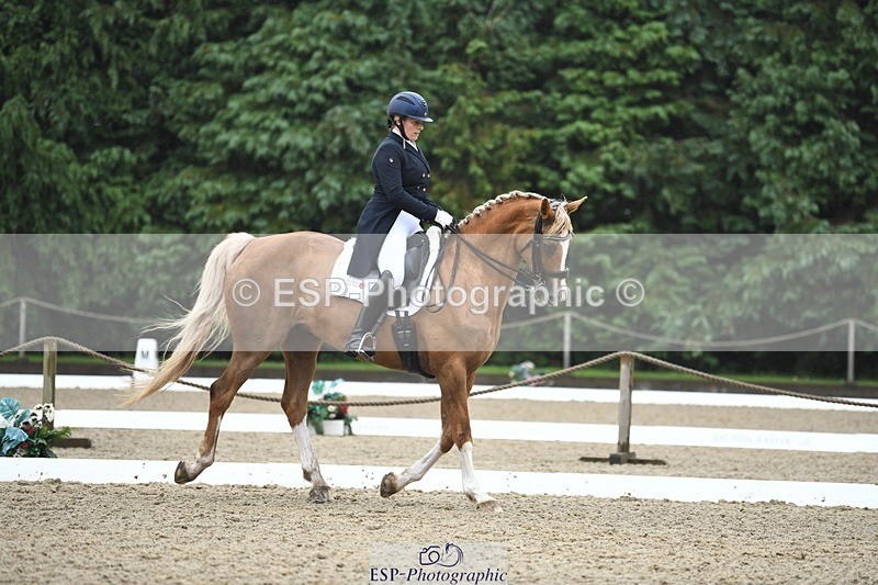 240720-145112-05842 - 187-Clare_Smith-Dori_Dragon_Fly