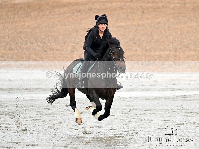 WJ7_9473 - Hayling Island Beach Shoot 22-09-24