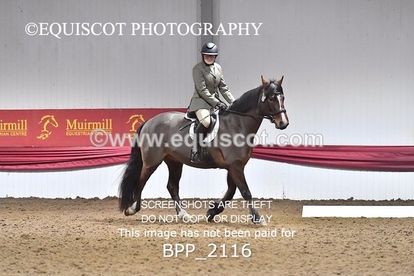 BPP_2116 - 11 - C JOHNSTON