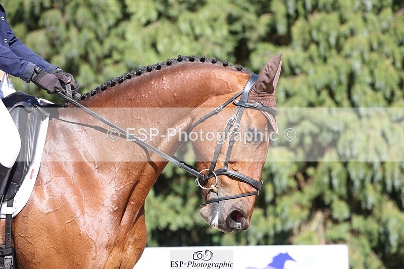 230526-162746-07824 - 171-SLANEYSIDE_COOLEY-Lara_Chapple-WEDTrotUp+DR