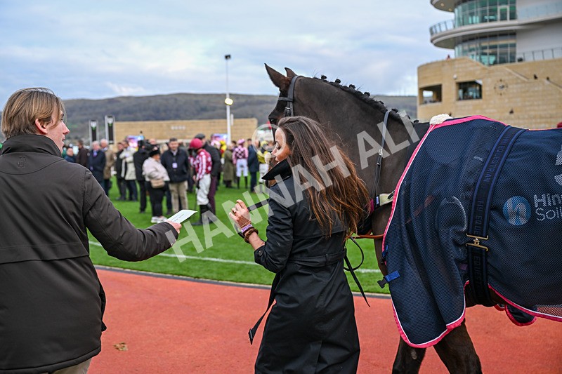 161125-Race 3-Cabhfuilfungi-5782 - Race 3