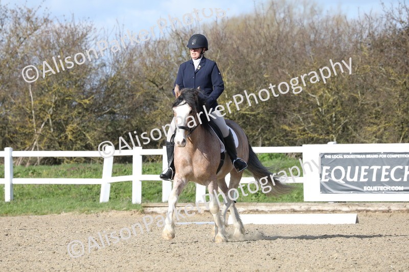 20260314-5001 - CT6 - Elementary 1