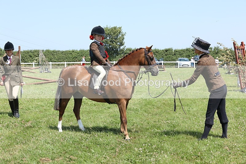 JPP_2370 - Class 20: Tiny Tots Working Hunter Pony
