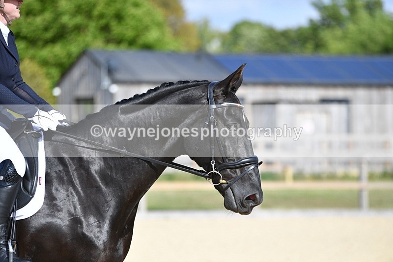 WJ5_8103 - Time 17:14 to 17:23