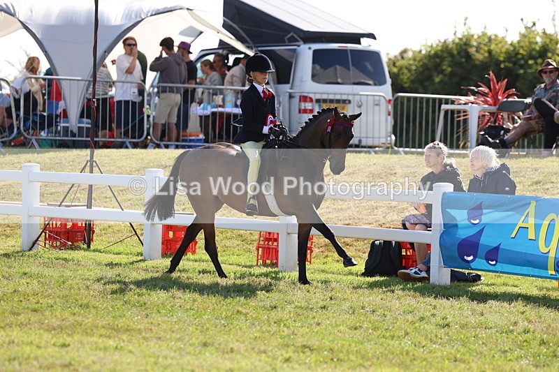 3E7A4062 - Supreme Championship