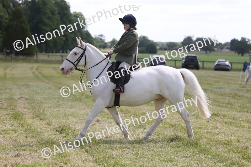 20260614-0782 - Class 20 - Beginners Working Hunter Pony