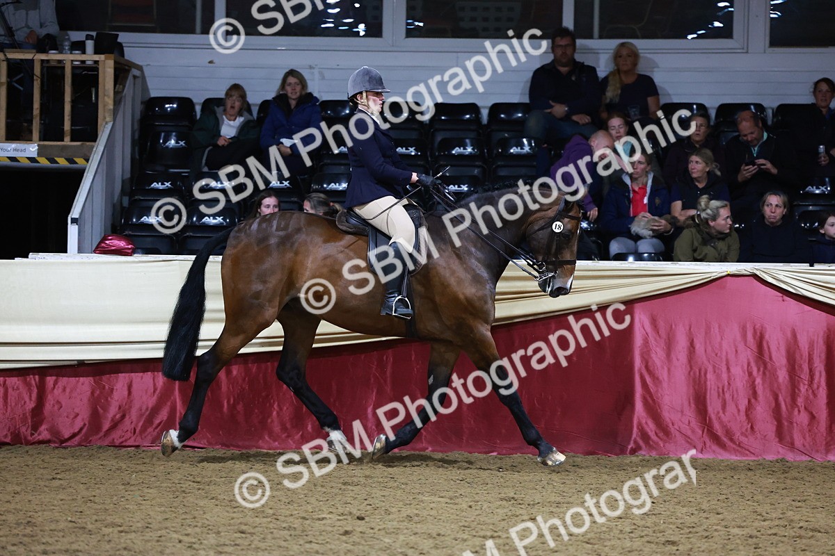 SBM_21152 - class Q - Ridden Horse Champ