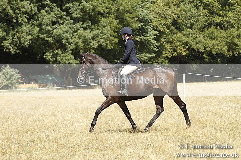 _BS_0786 - BVRC Show 2018 Ring 1