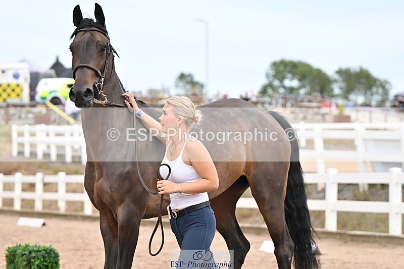 250716-161033-02492 - Trot Up 3.30 to 4.30