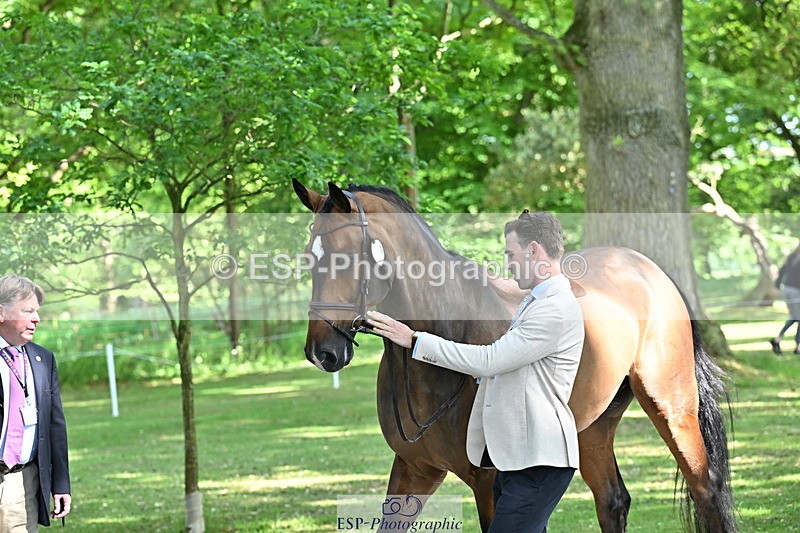 250521A-154745-00767 - B-367-Tom.Grant-QUID