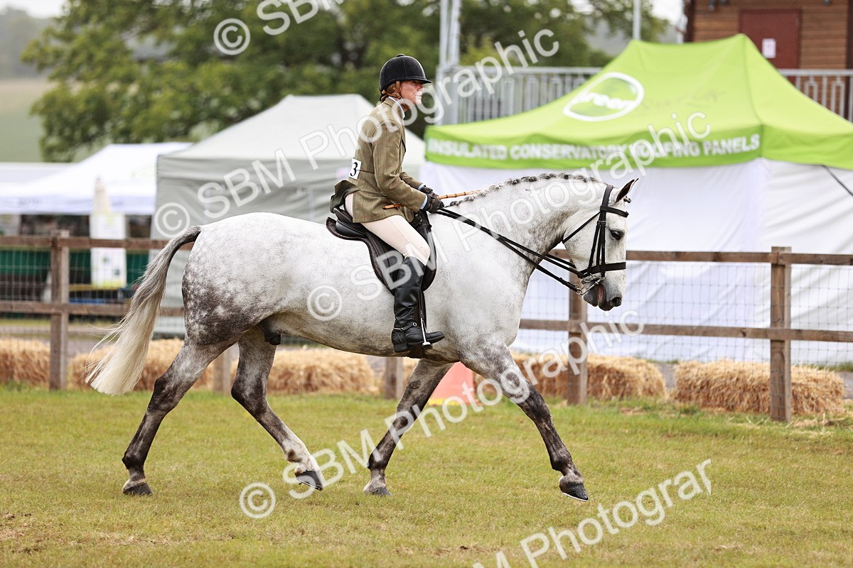 SBM_10746 - Class 81-84 - RIHS Ridden hunters Inc Ladies Hunter