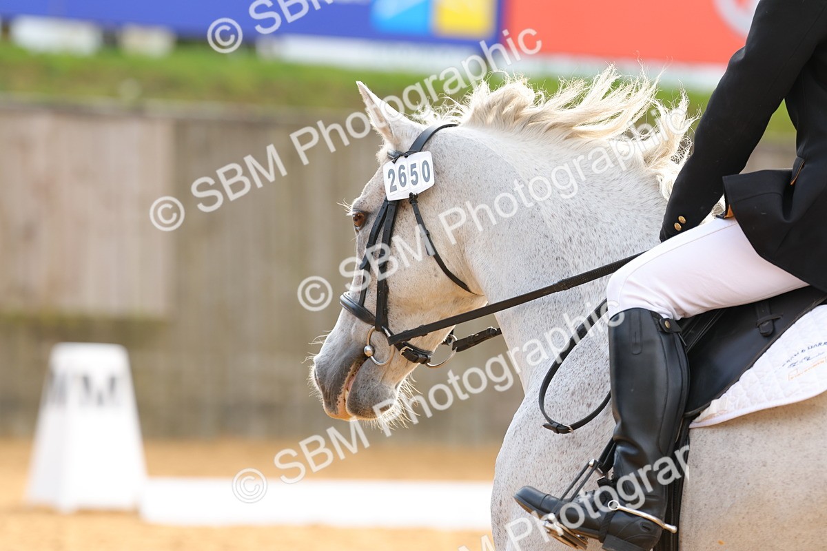 SBM_51281 - D12 - Small Tour Championship - Prelim 18