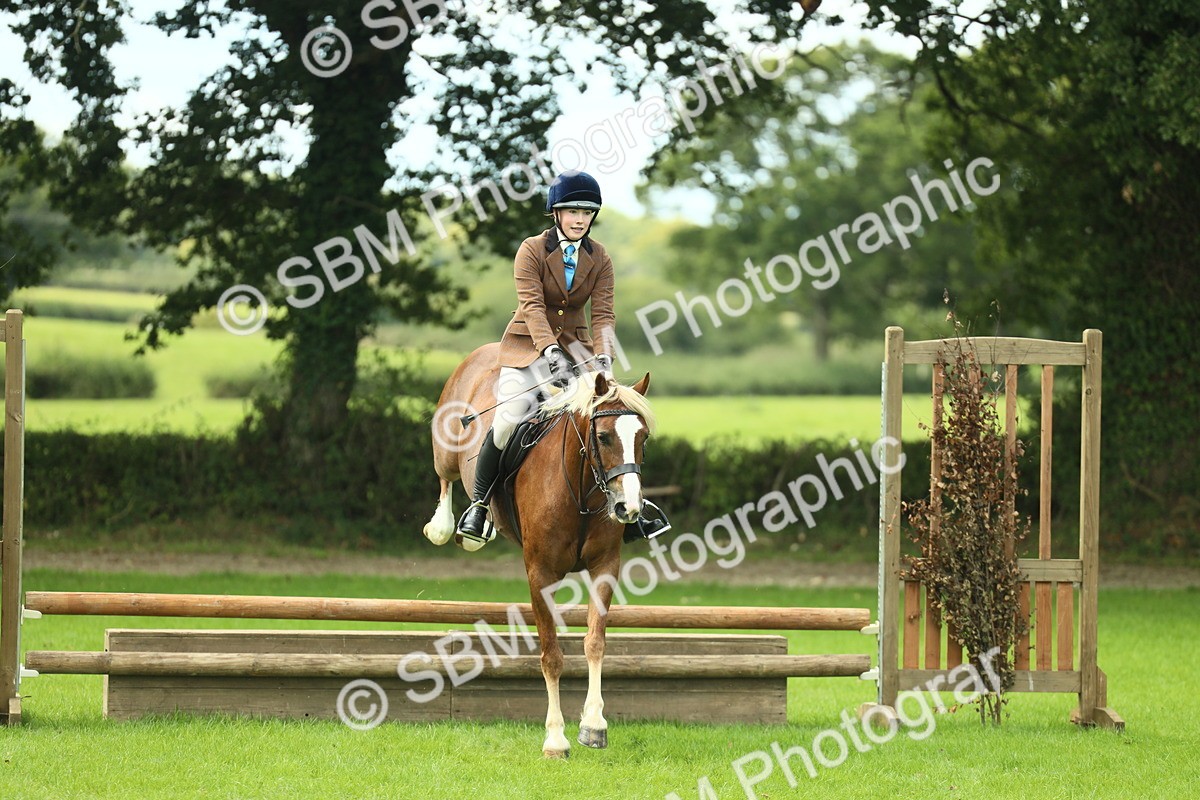 SBM_42825 - S30 - M&M Working hunter Pony