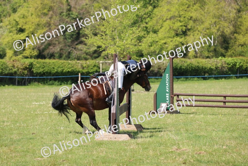 20250427-2562 - Class 20 - Working Hunter Ponies
