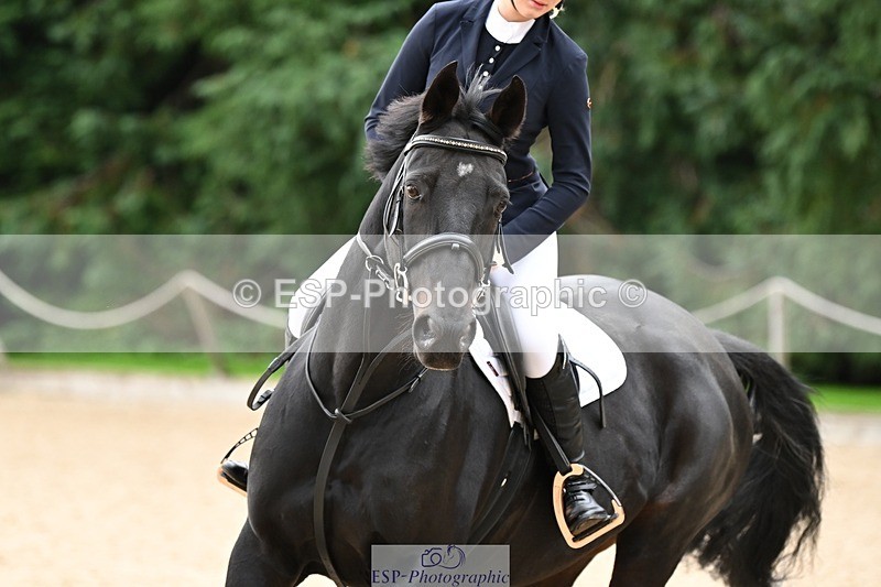 240929-095958-00165 - Cls 1 70-75cm