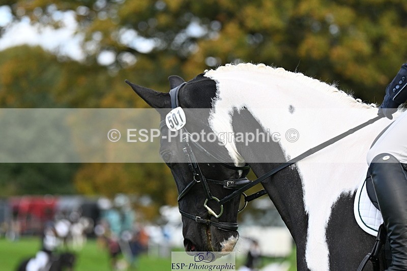 251023A-100231-02349 - G-501-Kathryn.Board