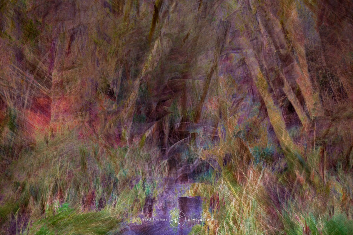 Reed running - ALTERED REALITY
