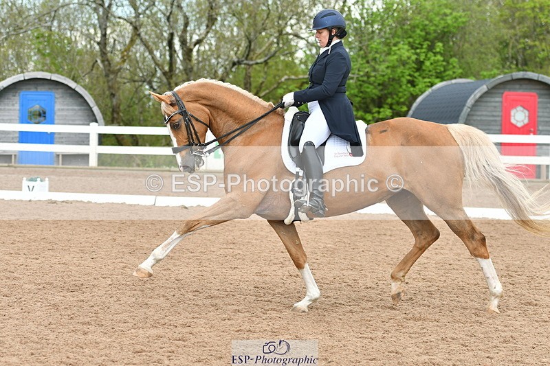 230511A-160203-01280 - BD Cls 18 FEI PSG