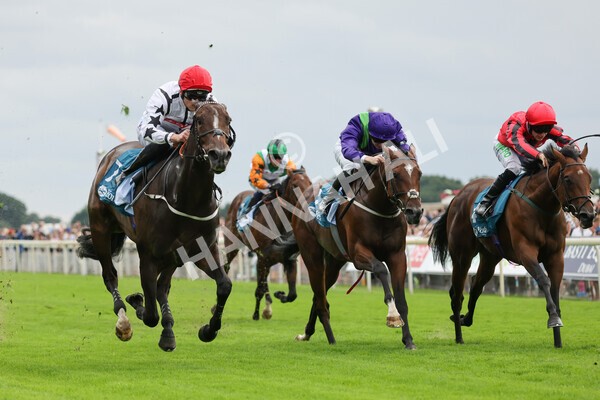 yr04092022r4-16 - Race 4 3.30pm Federation of Bloodstock Agents Nursery Handicap