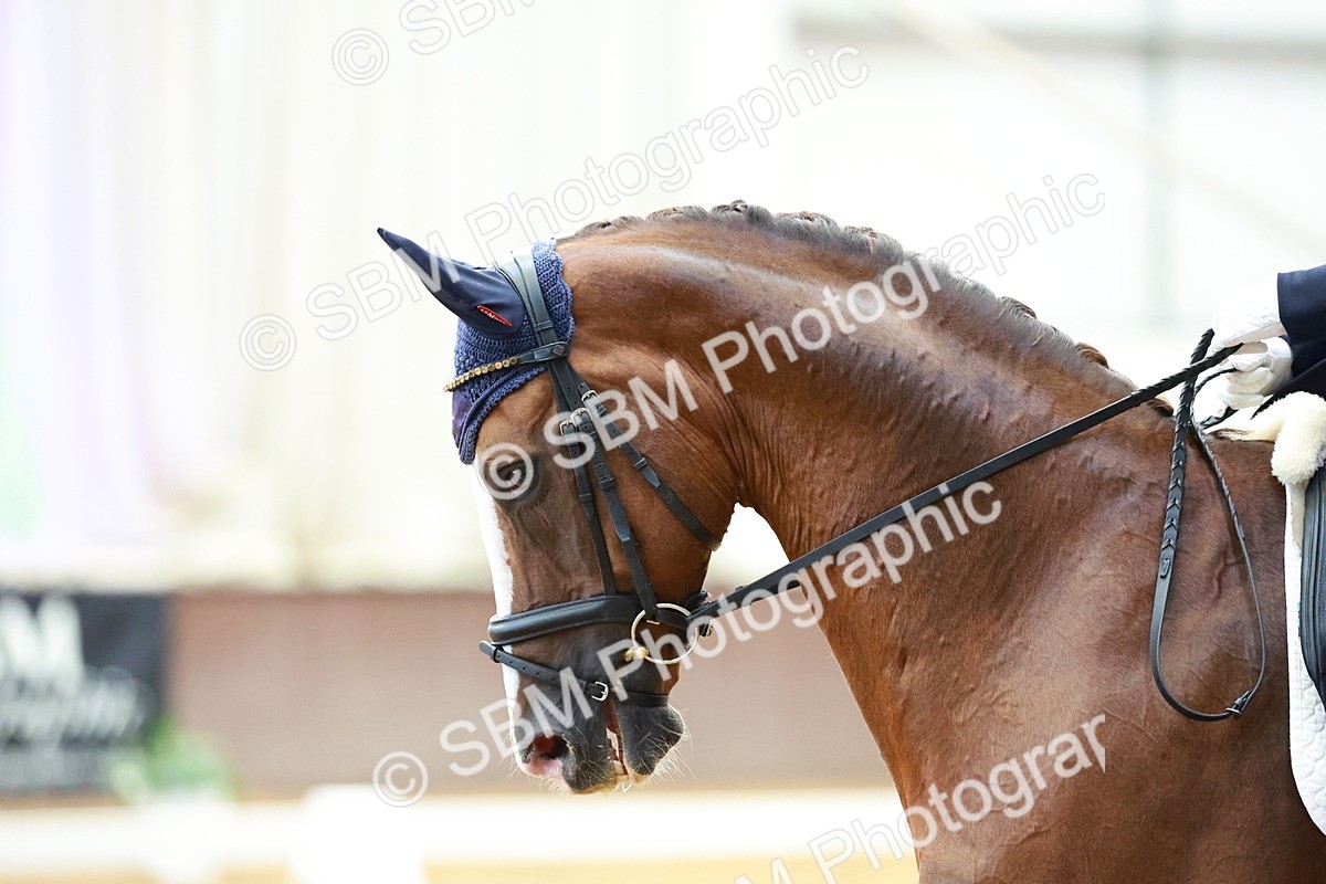 SBM_003955 - Class 1 - M5