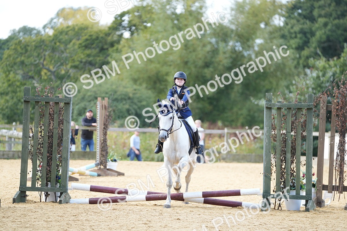 SBM_64320 - J2 - Mini Tour Junior Pony 30cm Championship