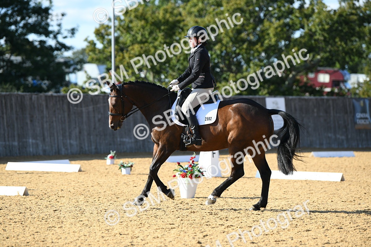SBM_28422 - D16 - Small Tour Championship - Novice 28