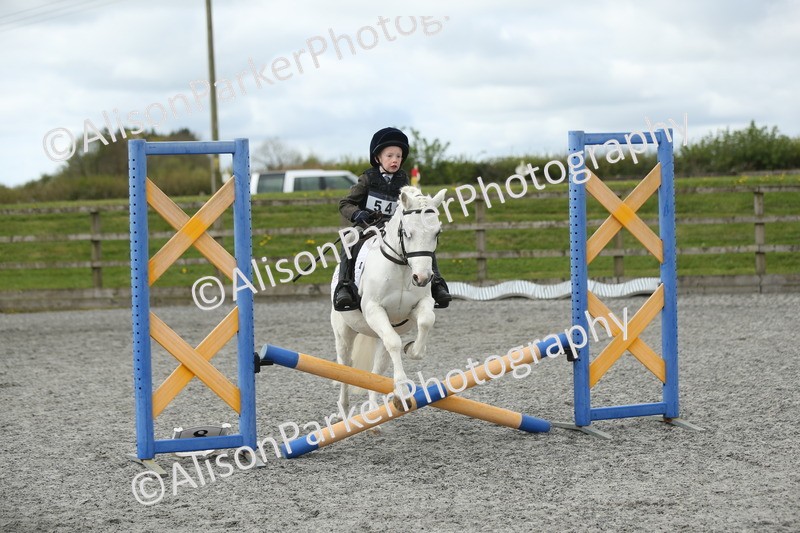 20260412-0713 - Show Jumping