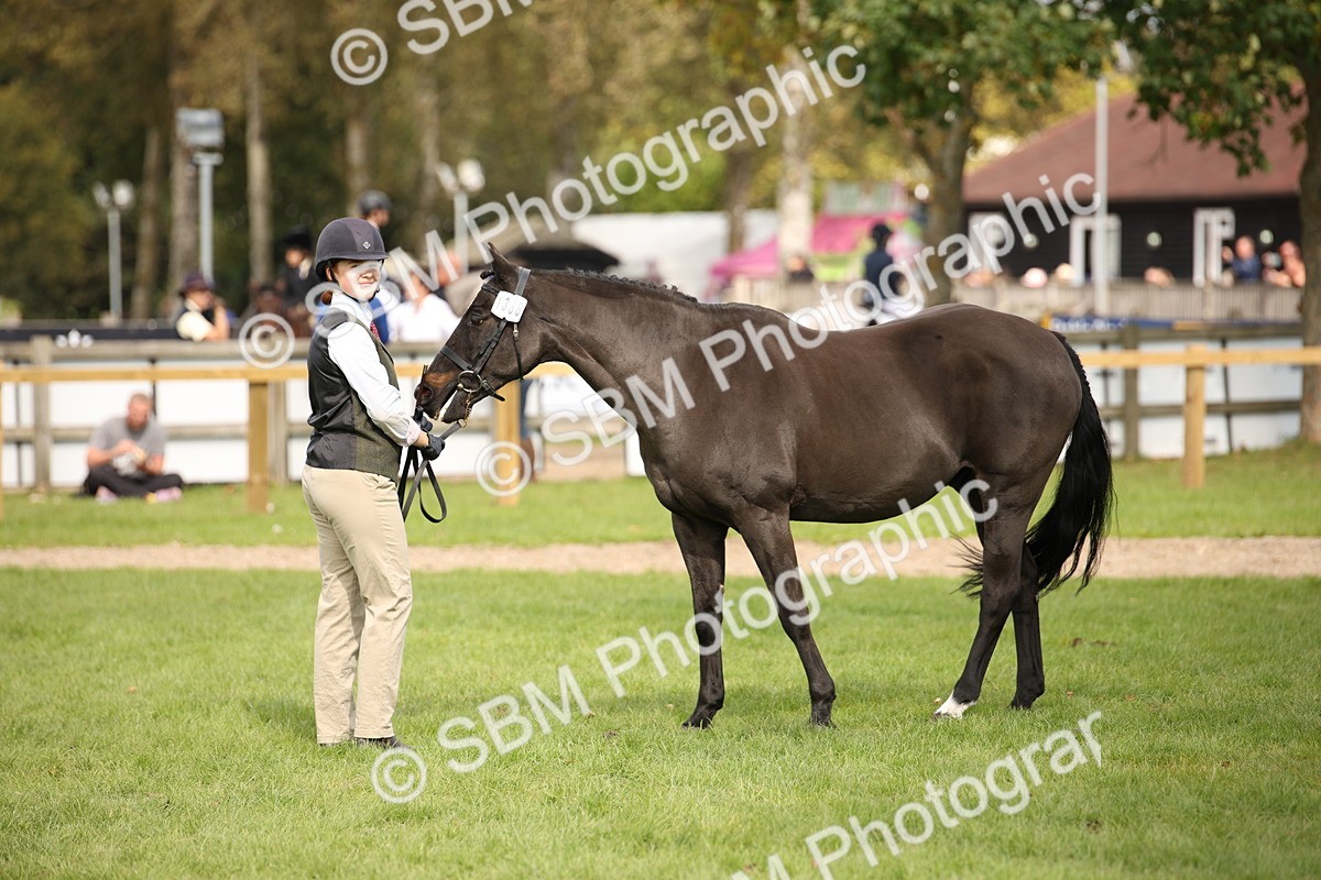 SBM_46362 - S25 - Mature Veteran In Hand