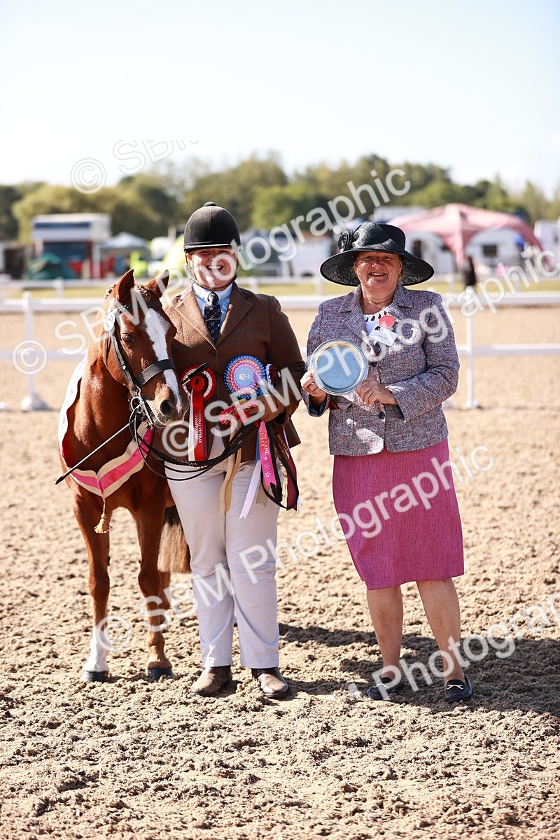 SBM_22731 - Class 704 - IH  Rescue