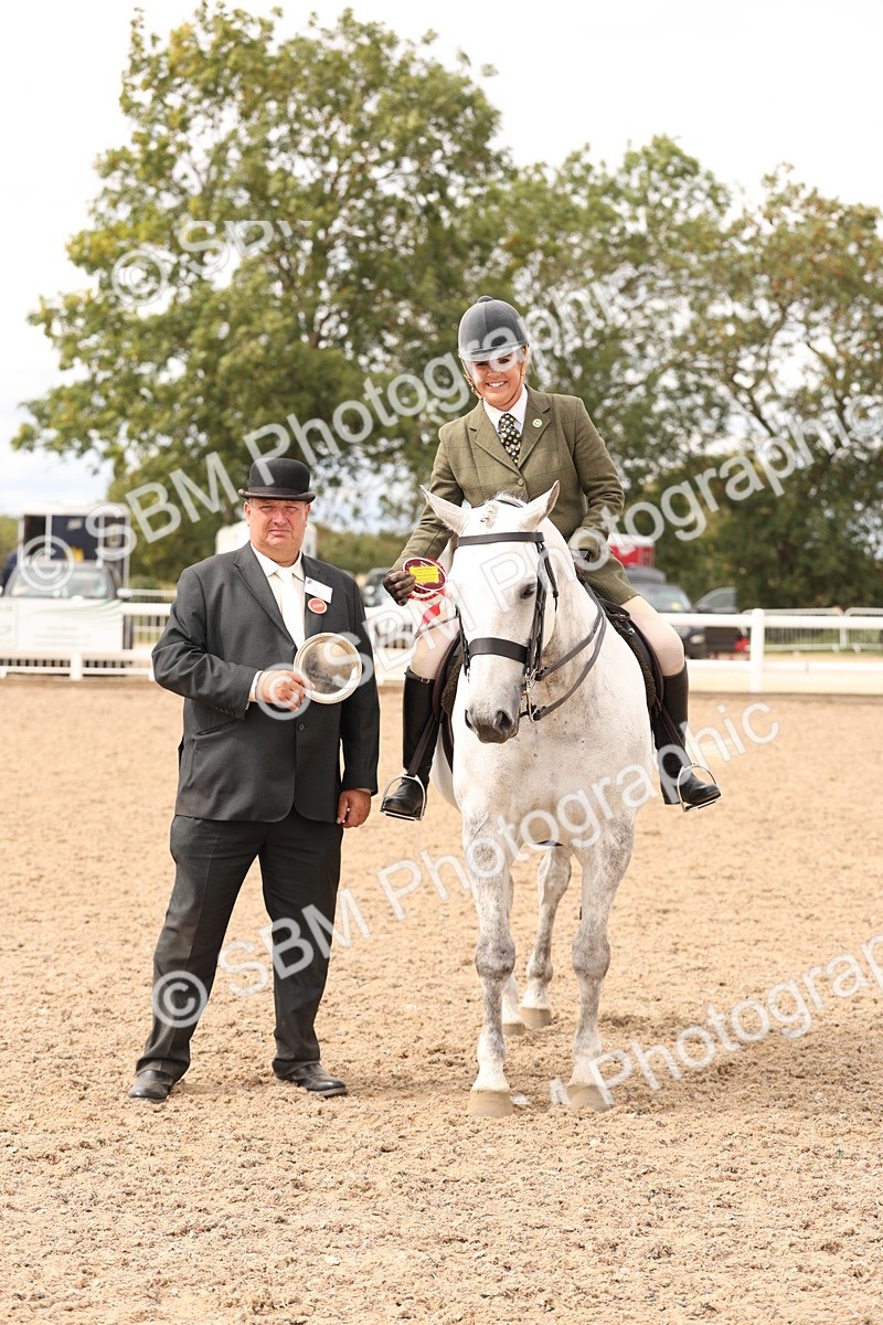 SBM_16526 - Class 212 - Ridden Hunter - Small