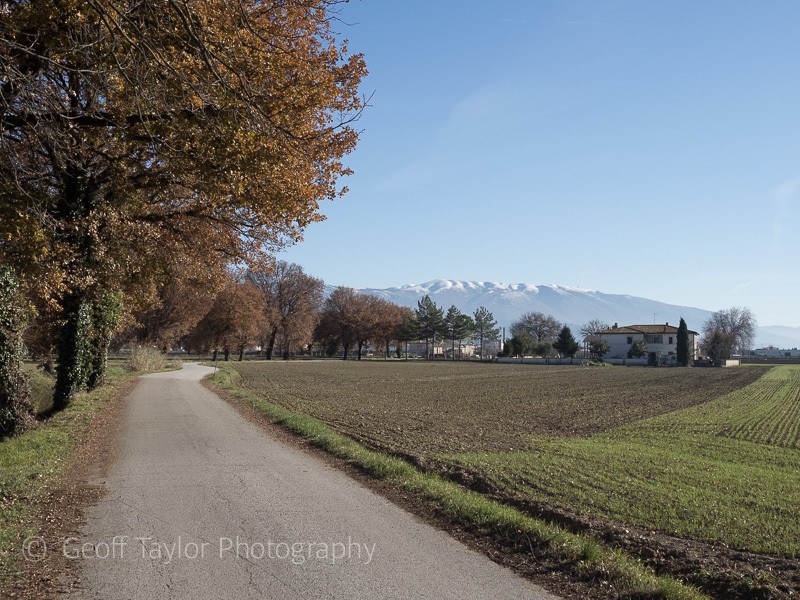 230375 Bevagna to Spello - Assisi Christmas