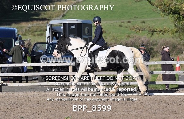 BPP_8599 - SHORT ARENA INTRO 3