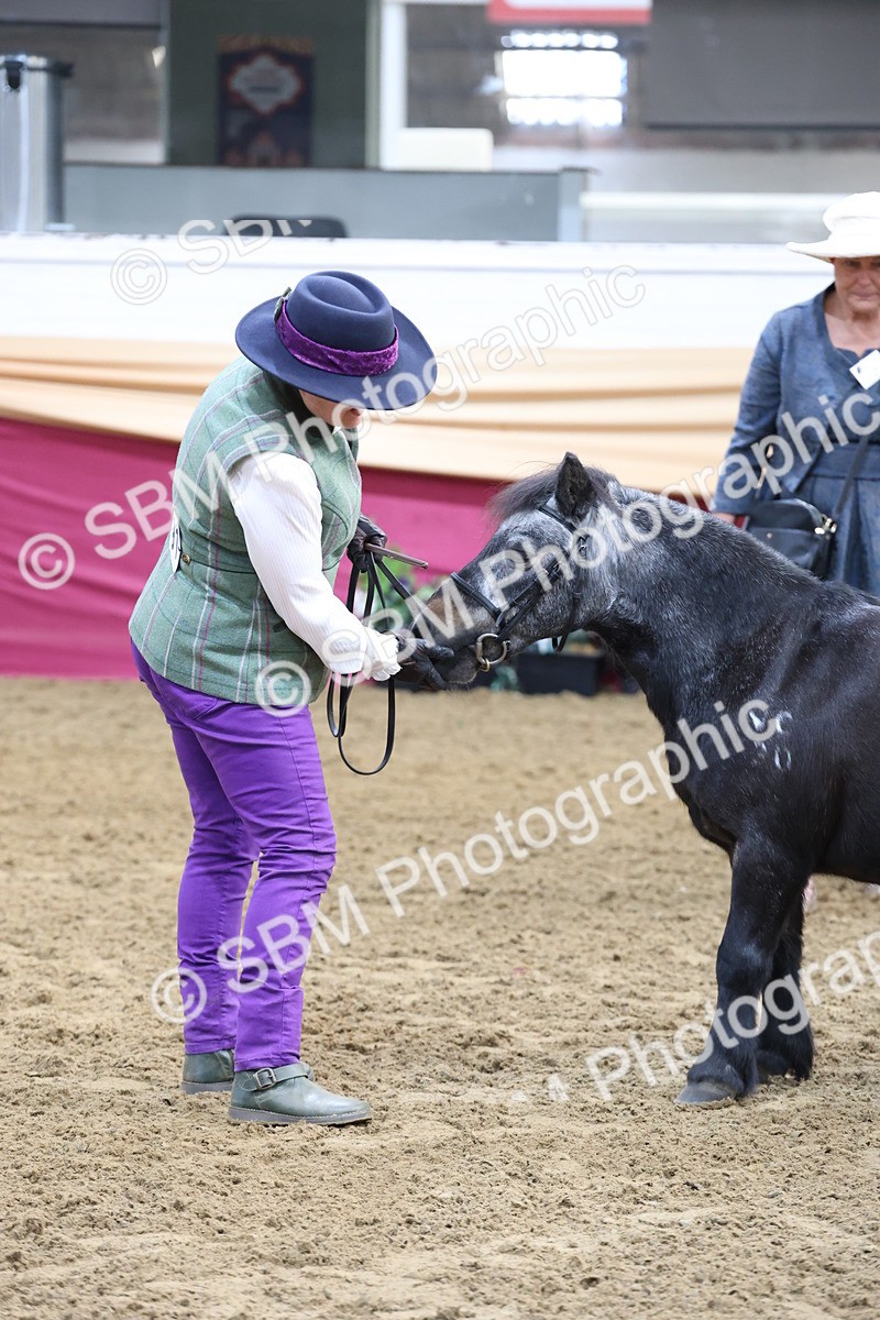 SBM_21835 - Class 901 - Supreme Final - IH  Diamond