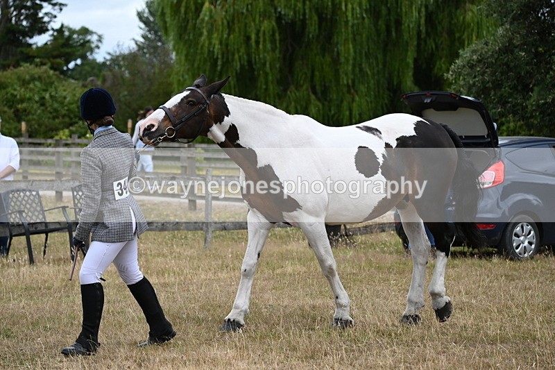 WJ6_8284 - Class 10 Coloured in Hand