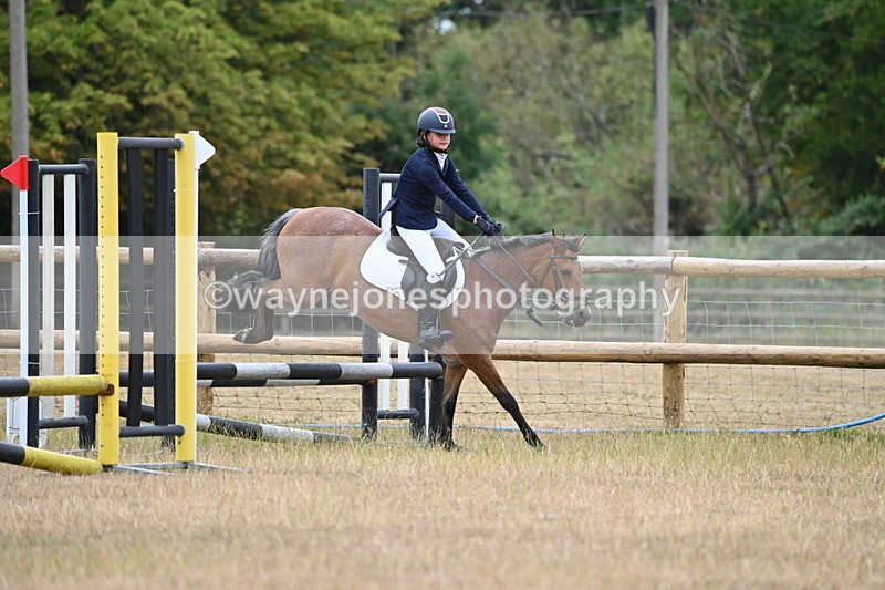 WJ6_0350 - Class 13 Novice Jumping 60cm