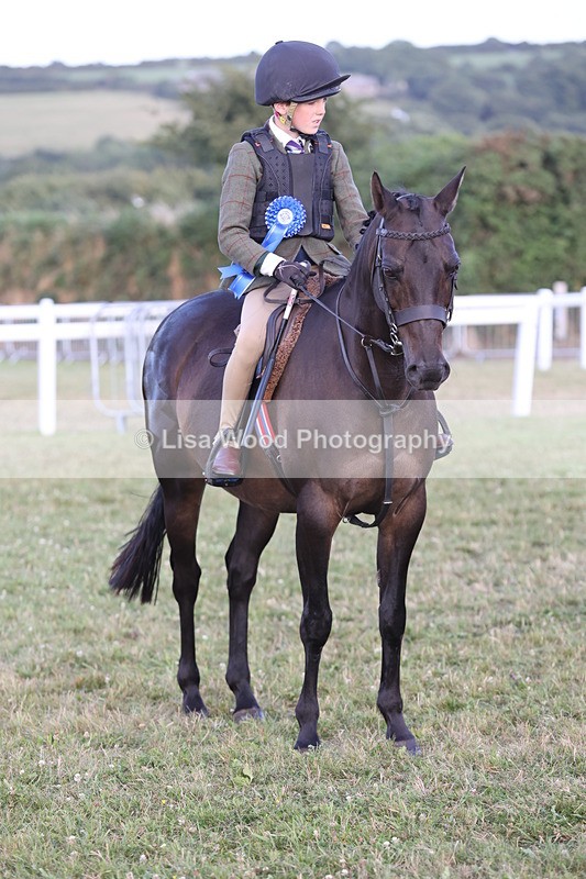 JPP_3733 - Working Hunter Championship