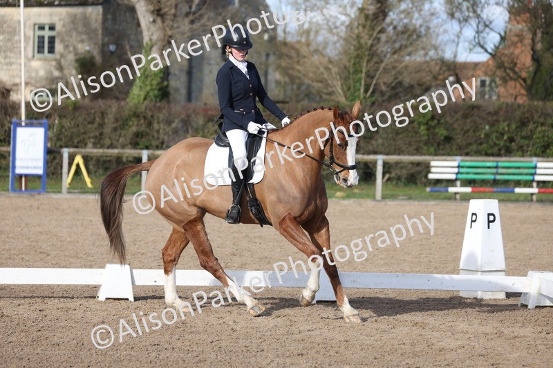 20260214-0608 - Class 5 - Novice 3