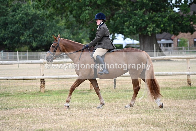 WJ6_3767 - Class 9 Tack & Turnout