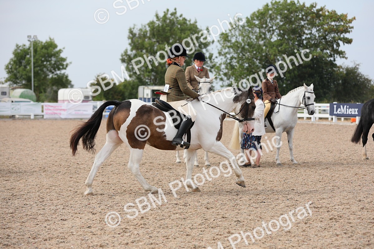 SBM_16987 - Class 314 Family Horse/Pony