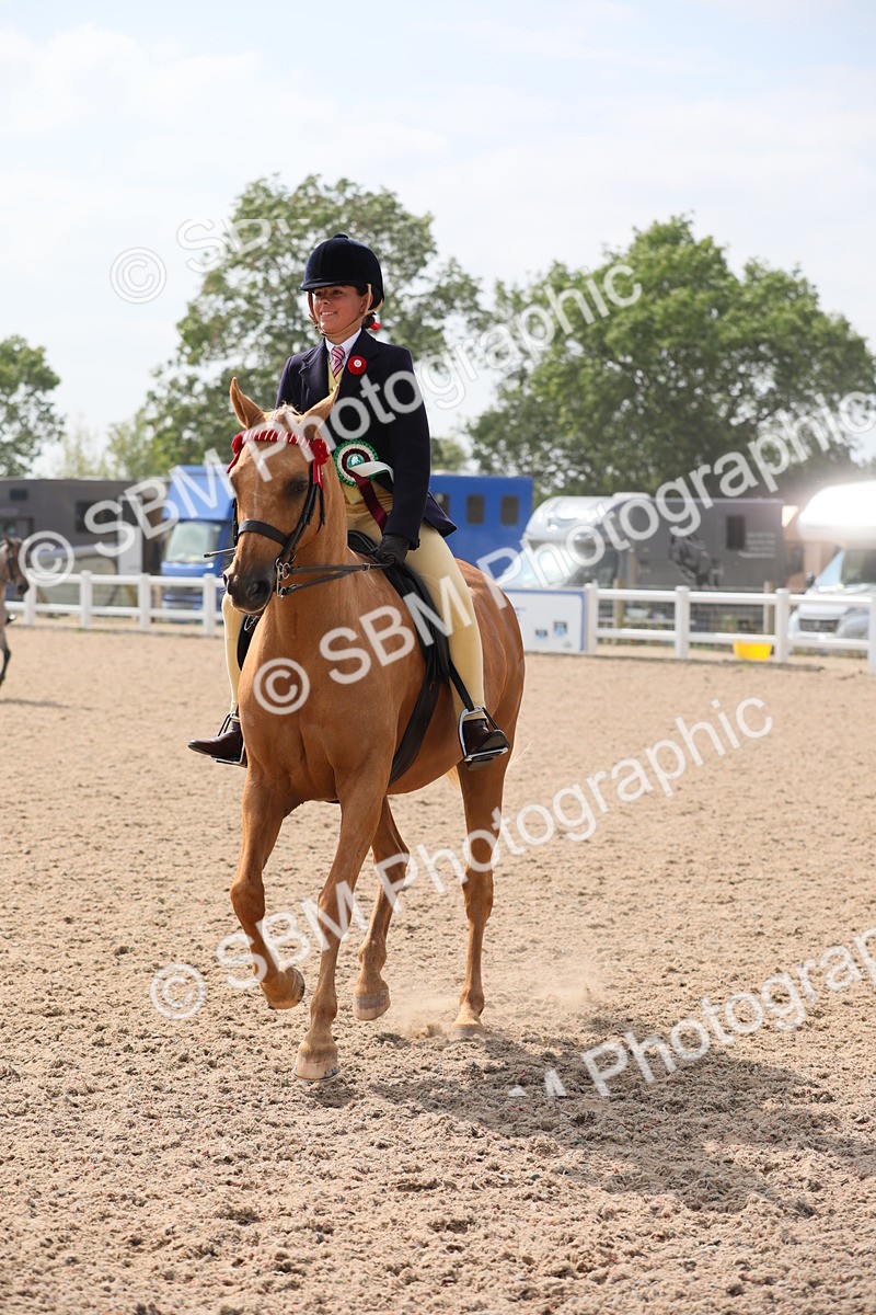 SBM_15636 - Class 311 Ridden Show Pony/ Show Hunter Pony